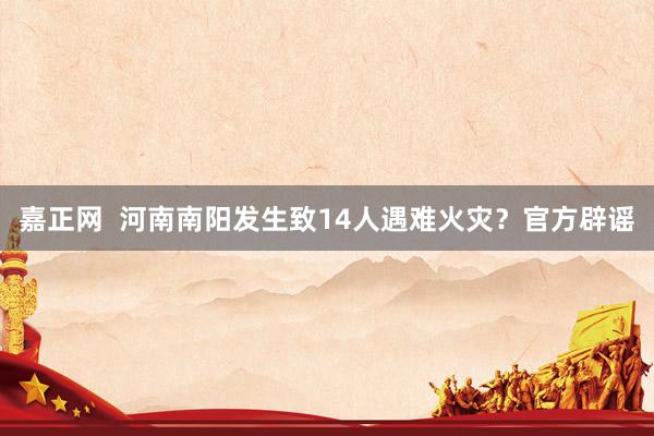 嘉正网  河南南阳发生致14人遇难火灾？官方辟谣
