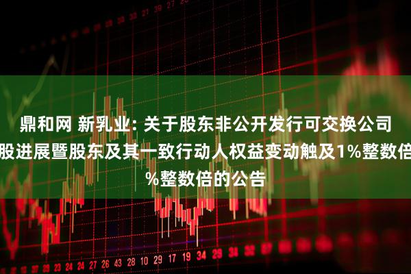 鼎和网 新乳业: 关于股东非公开发行可交换公司债券换股进展暨股东及其一致行动人权益变动触及1%整数倍的公告